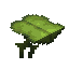 big_dripleaf_top