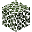 birch_leaves
