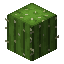 cactus_top