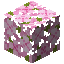 cherry_leaves
