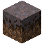 mycelium_top